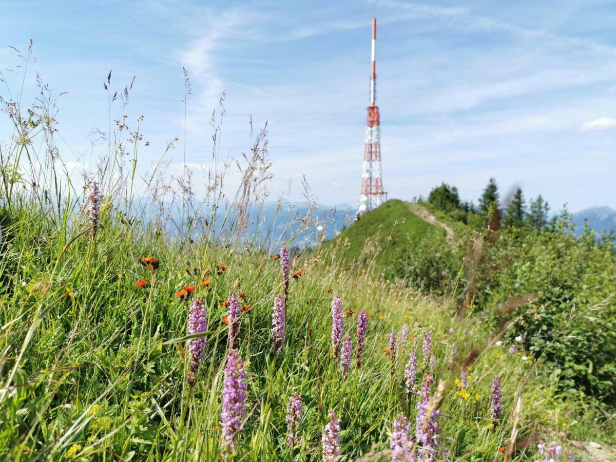 Ferienwohnung Am Eichwald Immenstadt im Allgäu エクステリア 写真