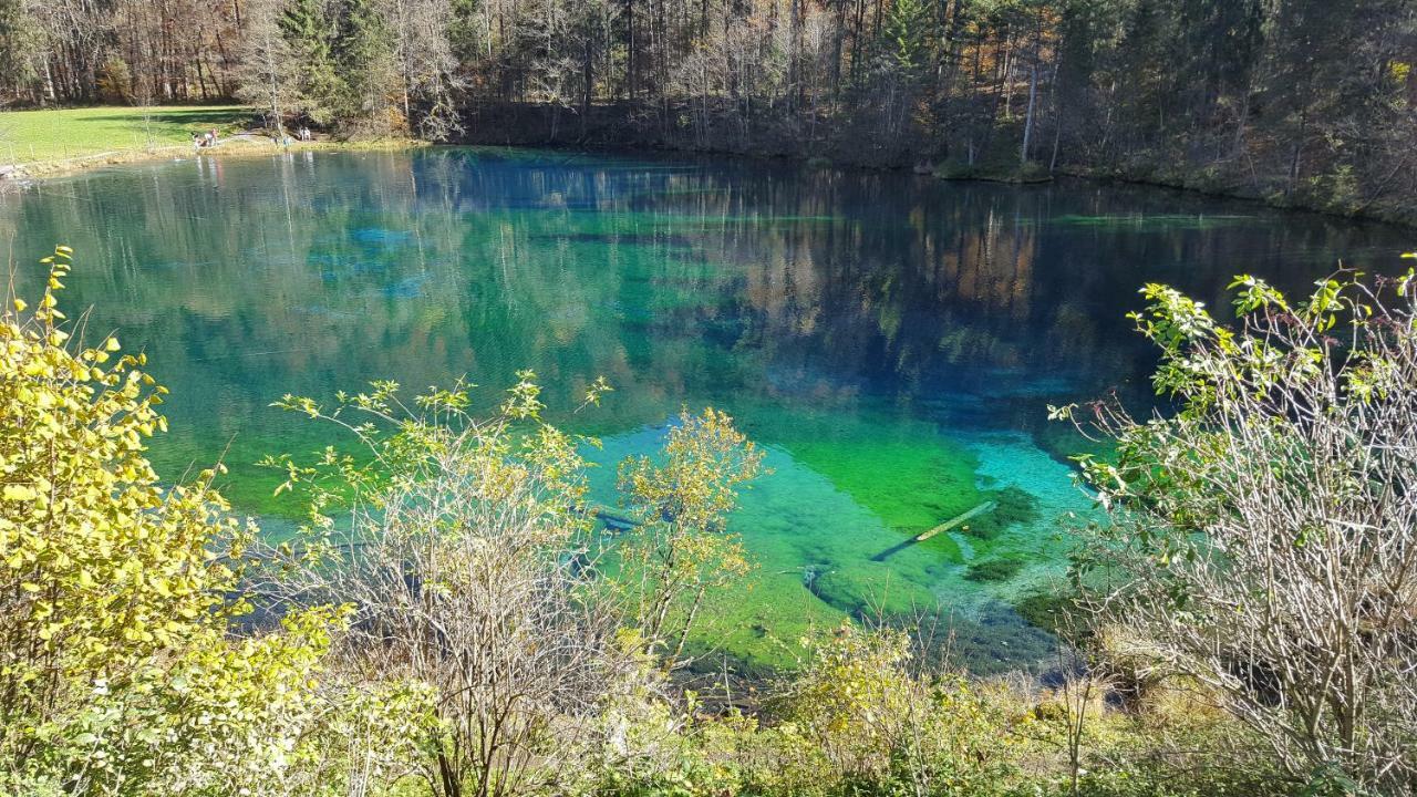 Ferienwohnung Am Eichwald Immenstadt im Allgäu エクステリア 写真
