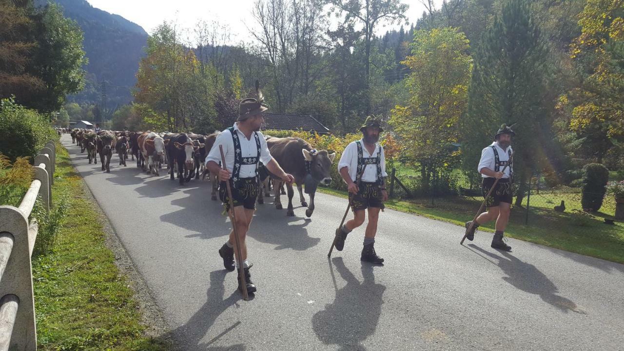 Ferienwohnung Am Eichwald Immenstadt im Allgäu エクステリア 写真